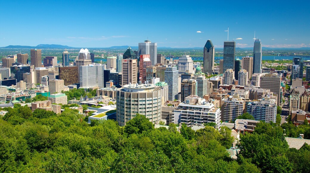 Mount Royal Park showing a city, skyline and landscape views