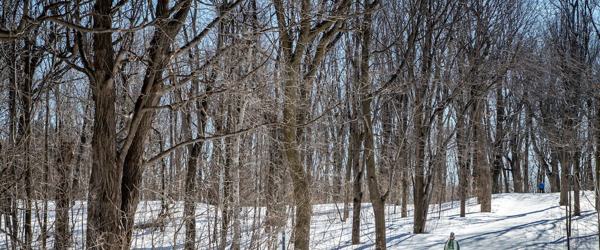 Mount Royal Park which includes snow skiing and snow as well as an individual male
