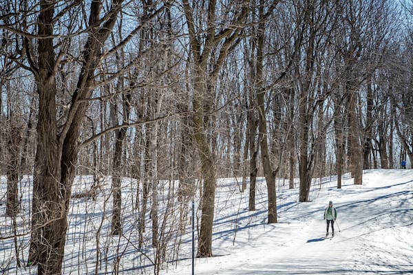 Mount Royal Park which includes snow skiing and snow as well as an individual male