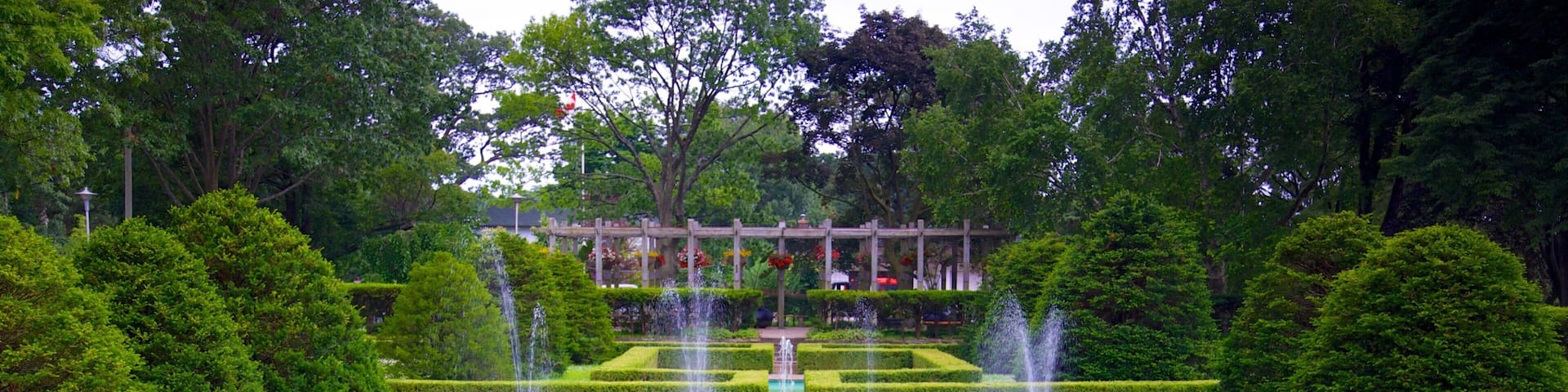 High Park showing a garden, a fountain and a pond