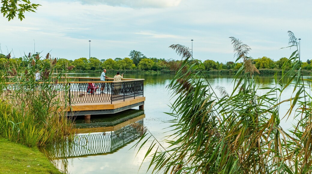 High Park which includes a lake or waterhole as well as a couple