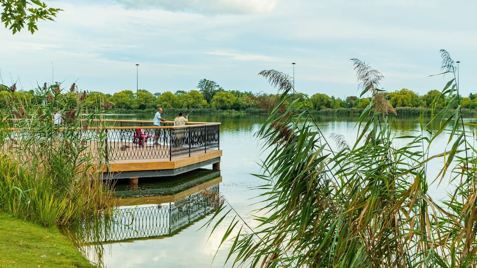 High Park which includes a lake or waterhole as well as a couple