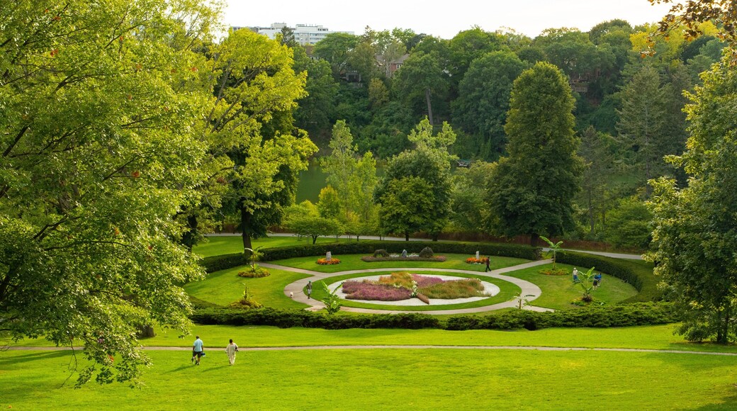 High Park featuring a garden as well as a couple