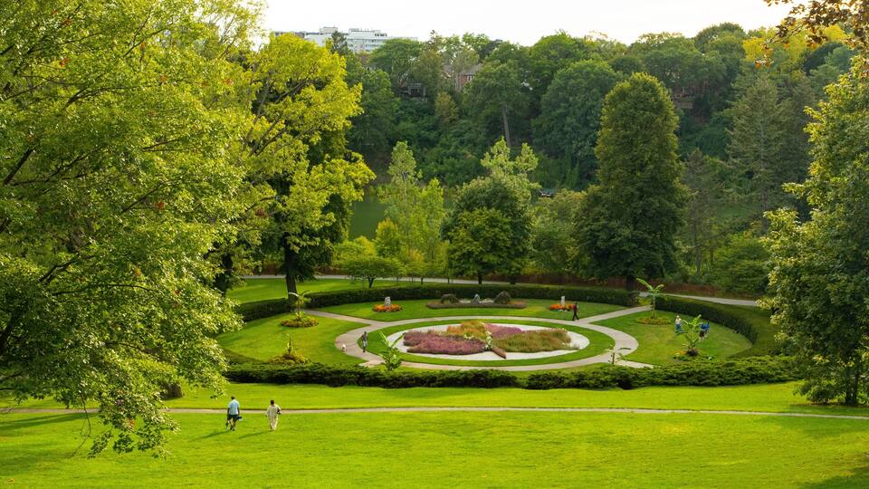 High Park featuring a garden as well as a couple