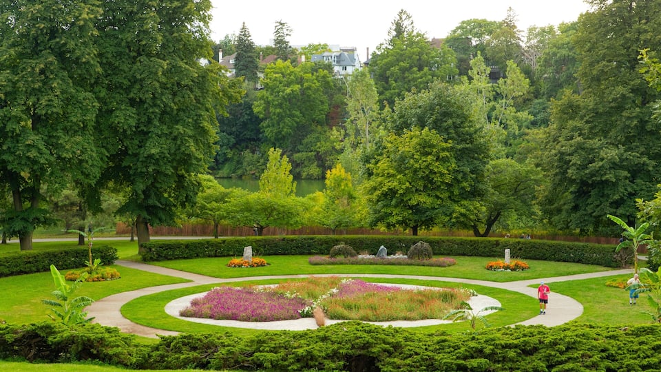 High Park which includes a park