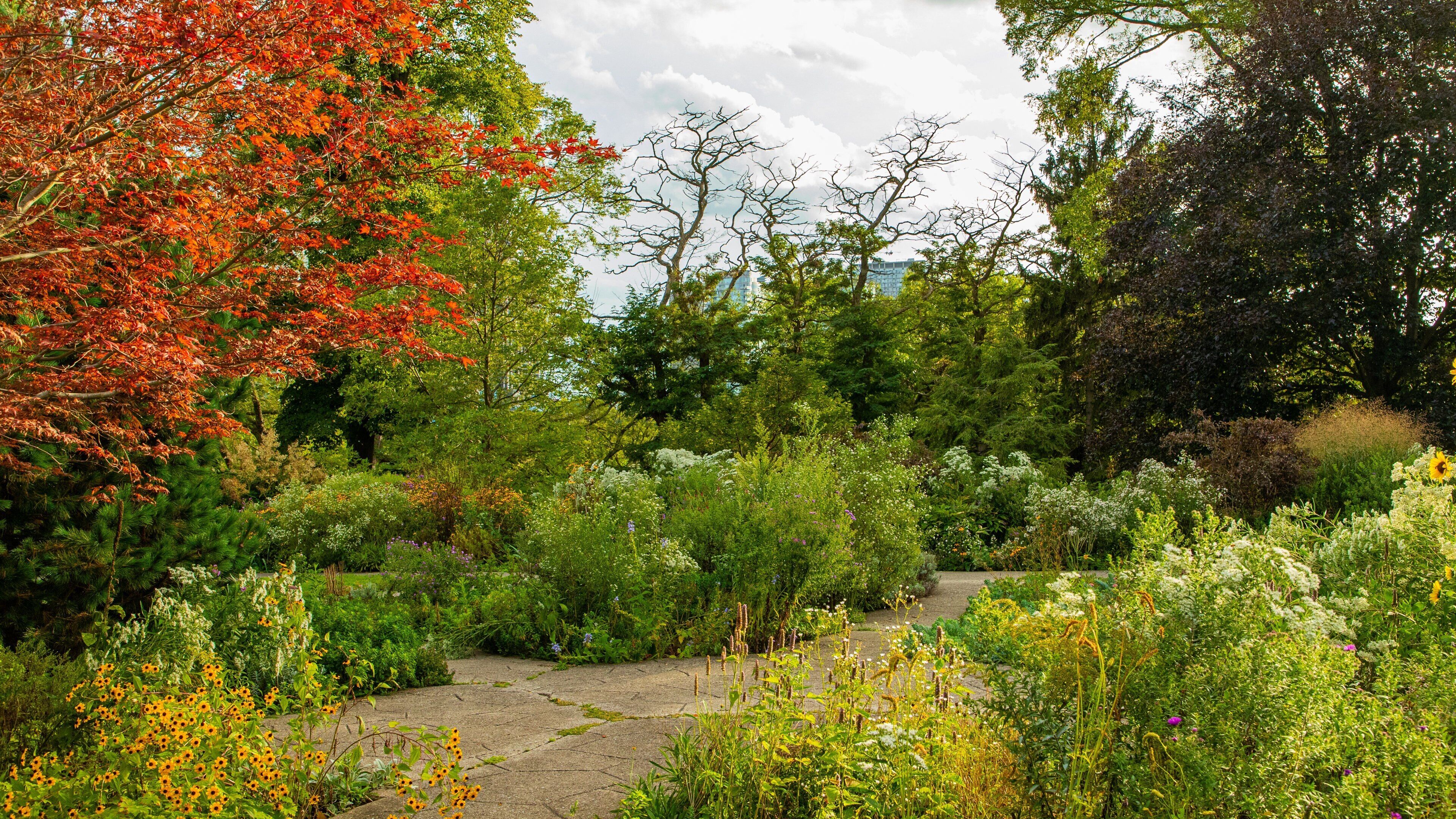 High Park which includes a park