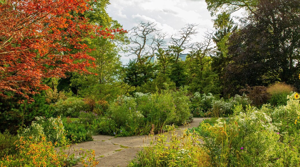 High Park which includes a park