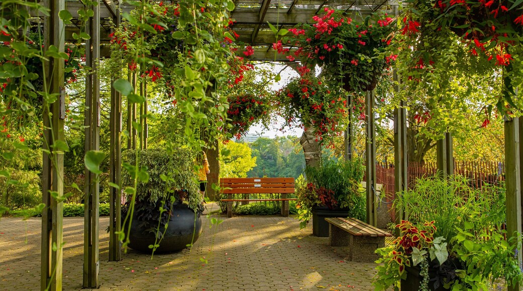 High Park showing a garden and wildflowers