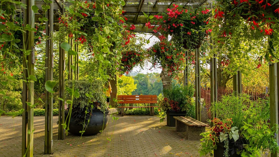 High Park showing a garden and wildflowers