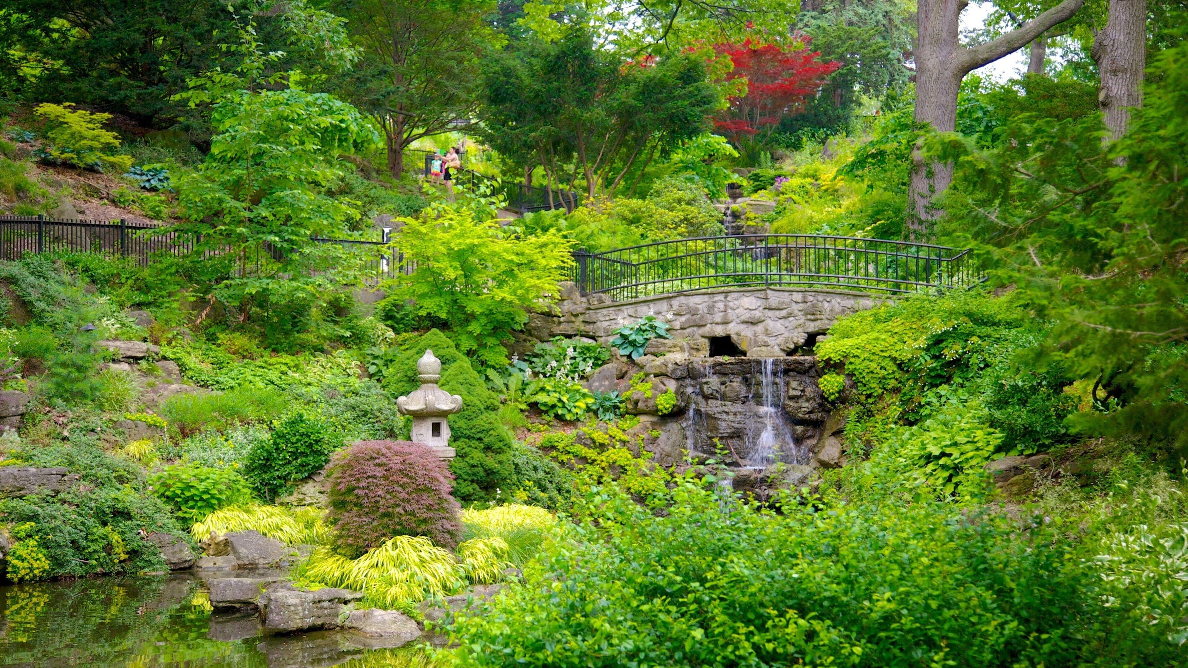 High Park which includes a river or creek and a park