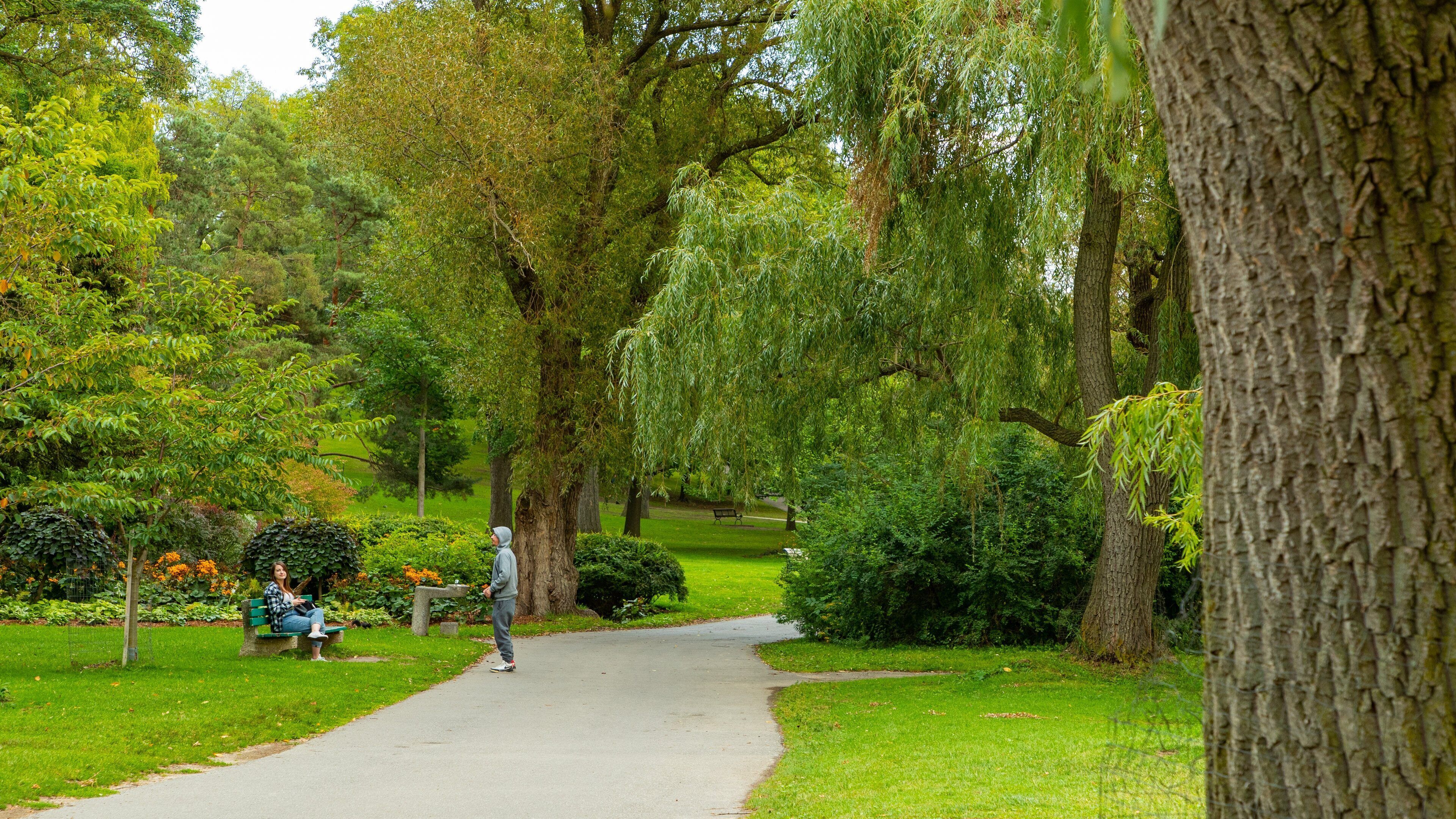 High Park featuring a garden