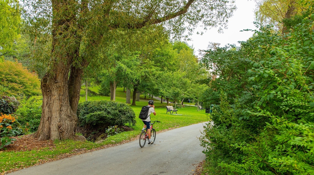 High Park showing cycling and a park