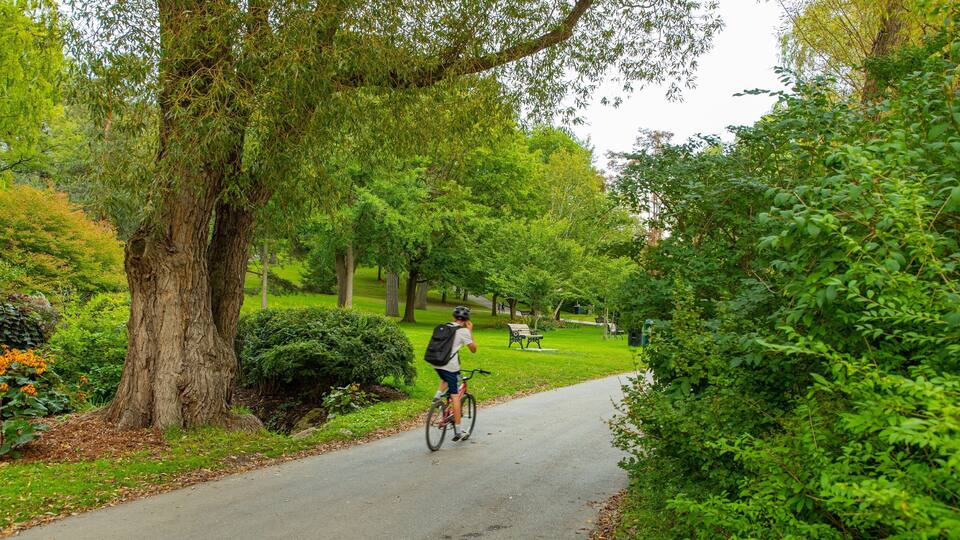 High Park showing cycling and a park