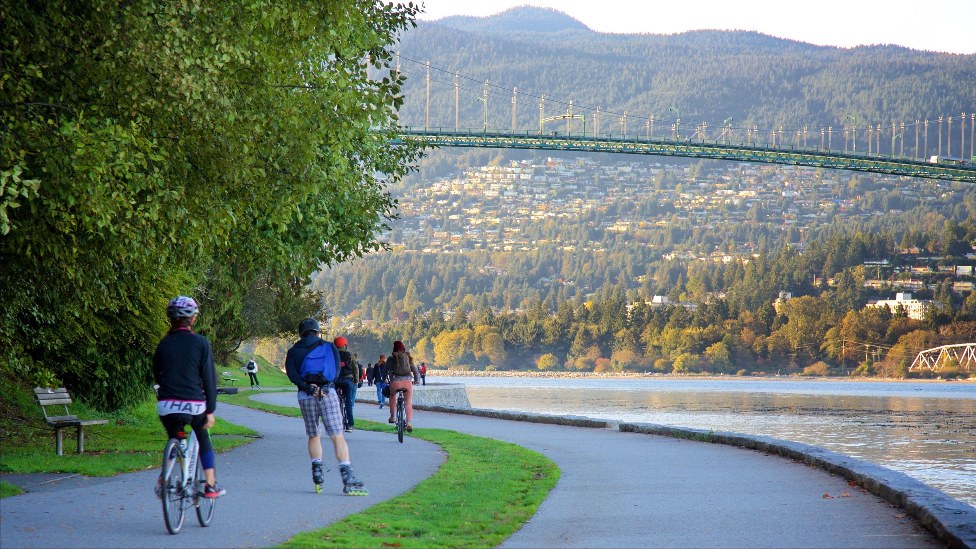 Stanley Park featuring a bridge, cycling and a river or creek
