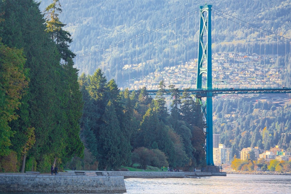 Un puente colgante con un paisaje urbano de fondo.