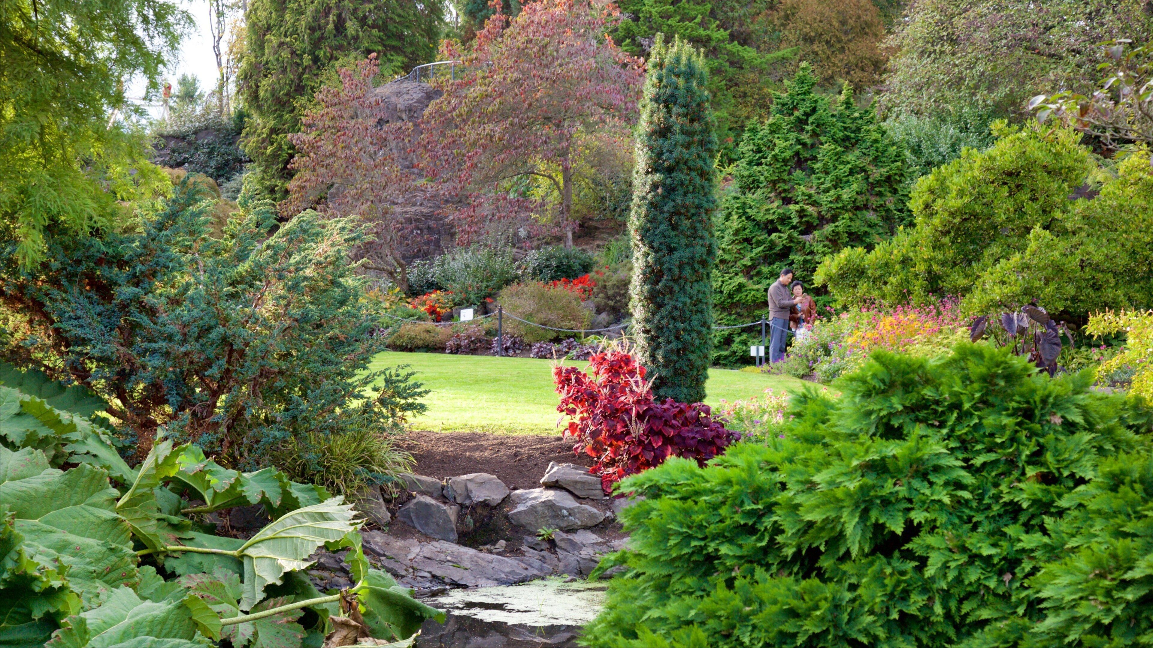 Queen Elizabeth Park showing a garden