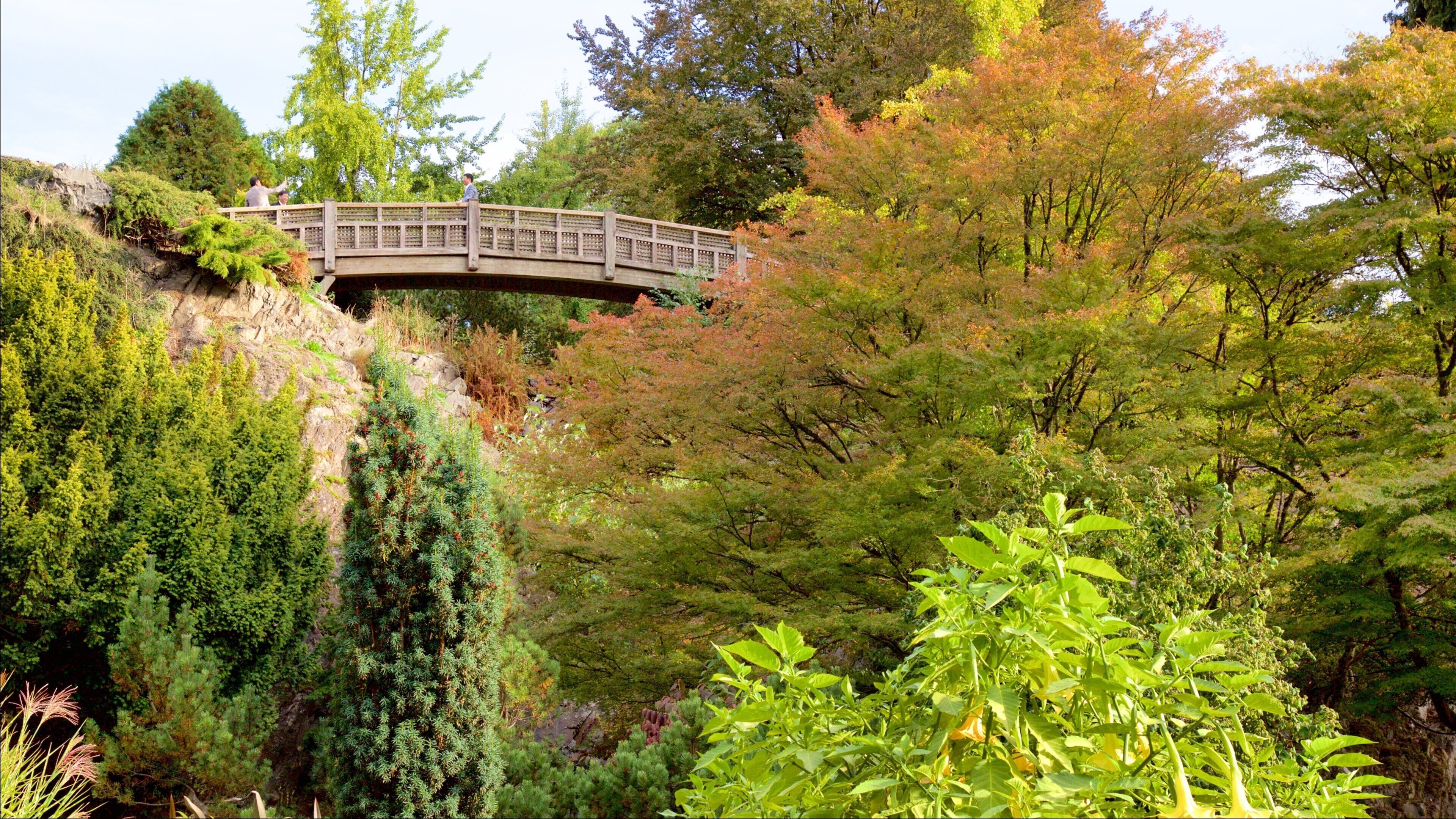 Queen Elizabeth Park which includes a park and a bridge