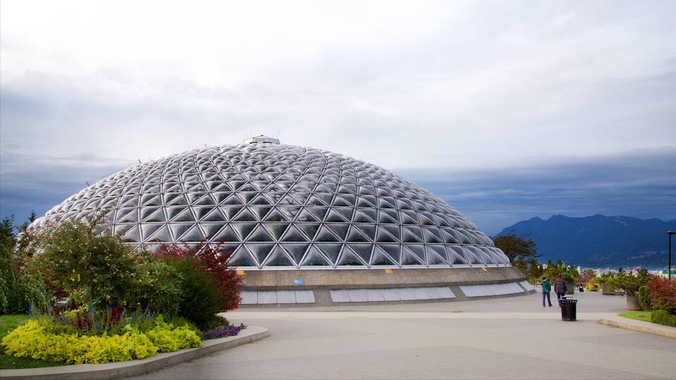 Queen Elizabeth Park showing a park