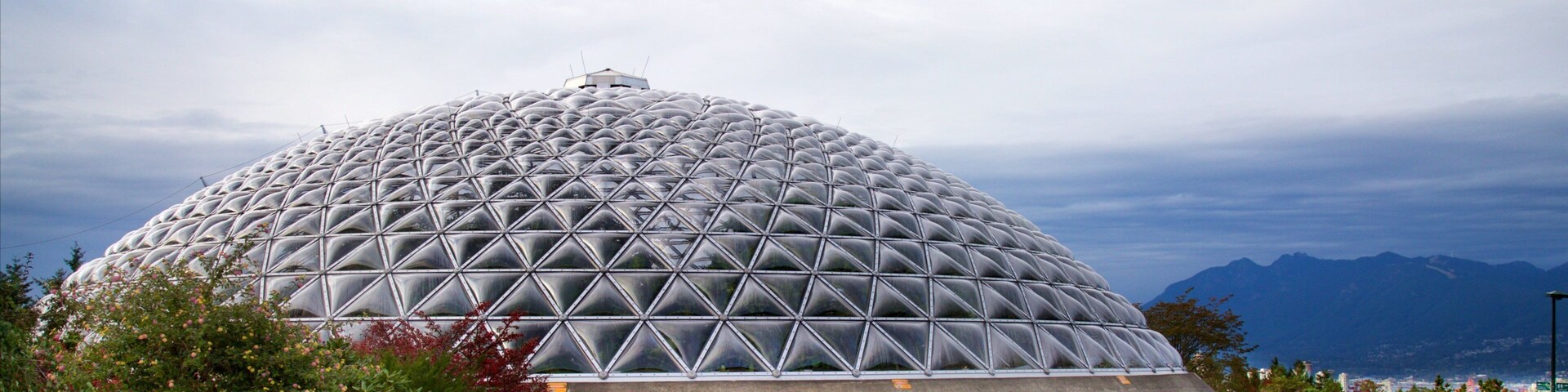 Queen Elizabeth Park showing a park