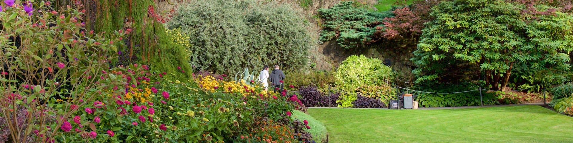 Queen Elizabeth Park mettant en vedette un jardin
