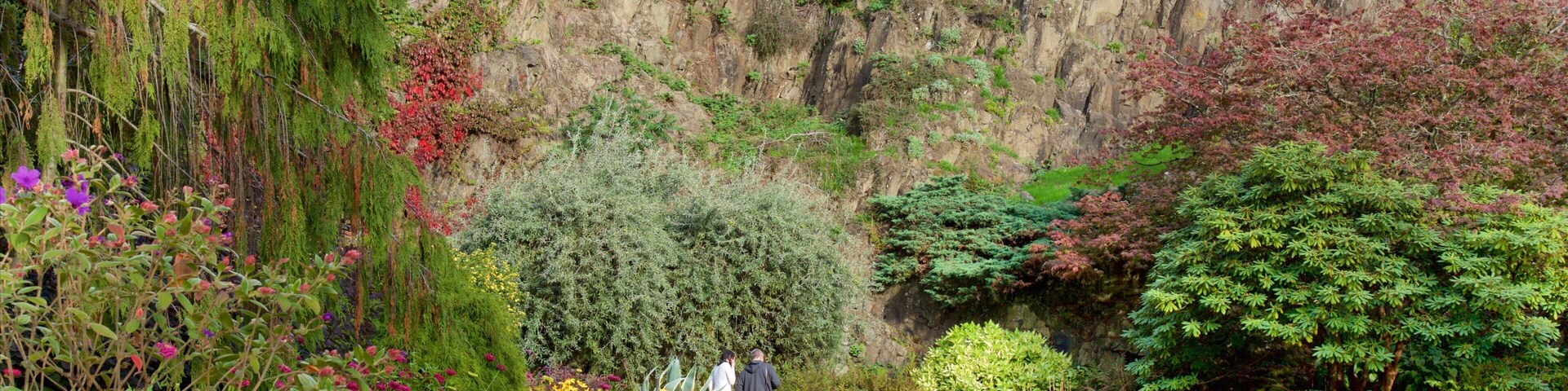 Queen Elizabeth Park which includes a park