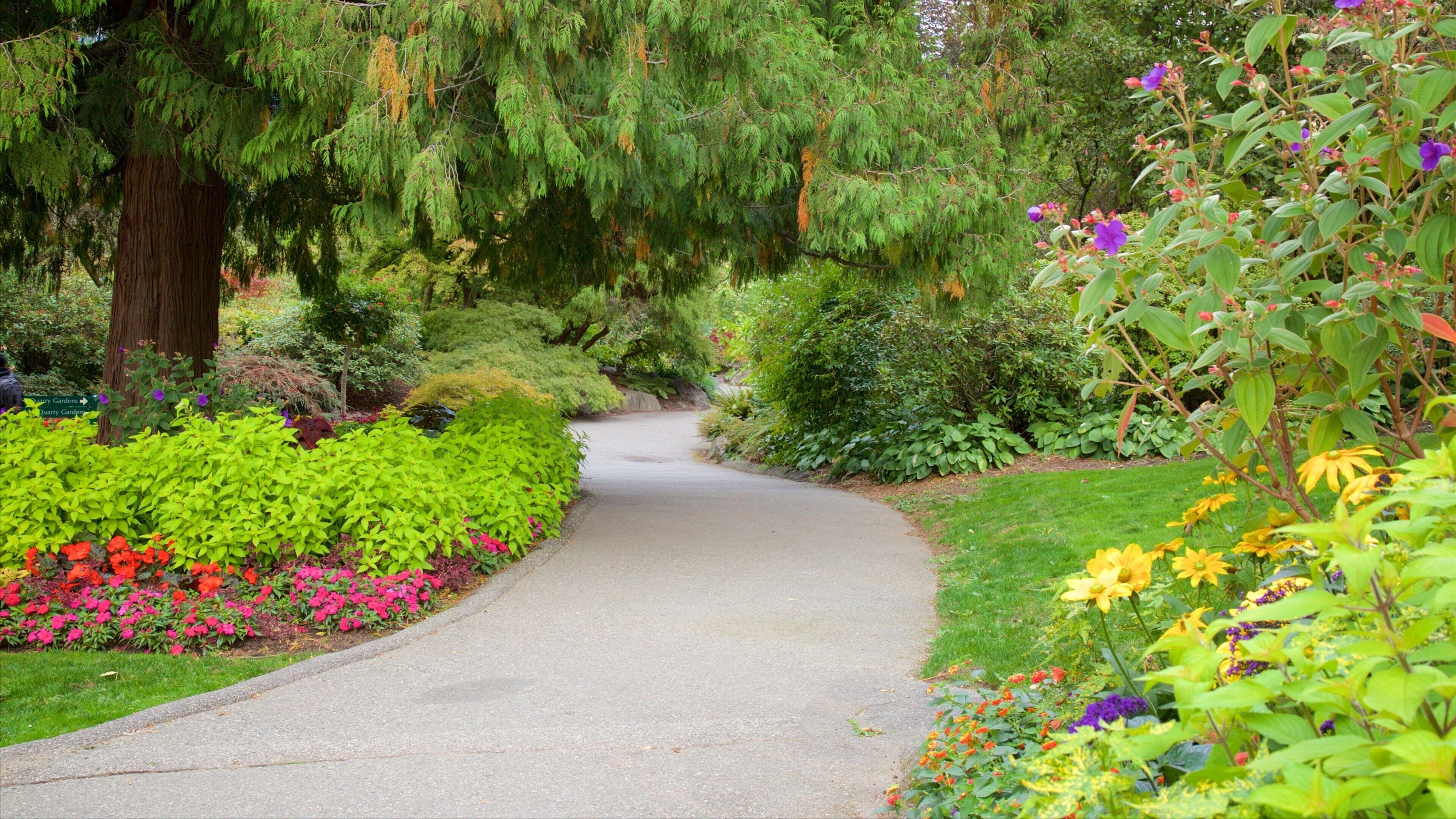 Queen Elizabeth Park das einen Park und Blumen