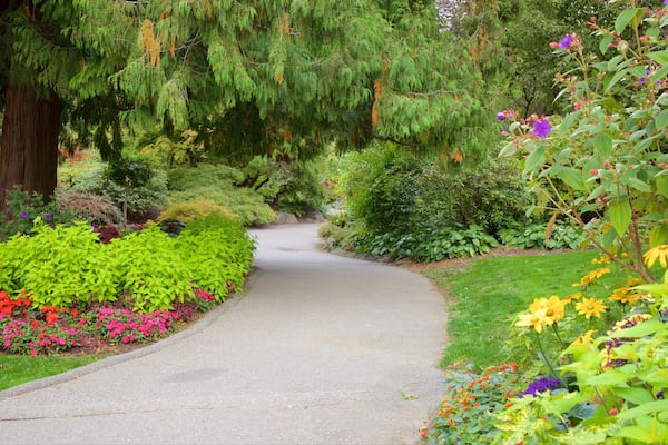 Queen Elizabeth Park das einen Park und Blumen