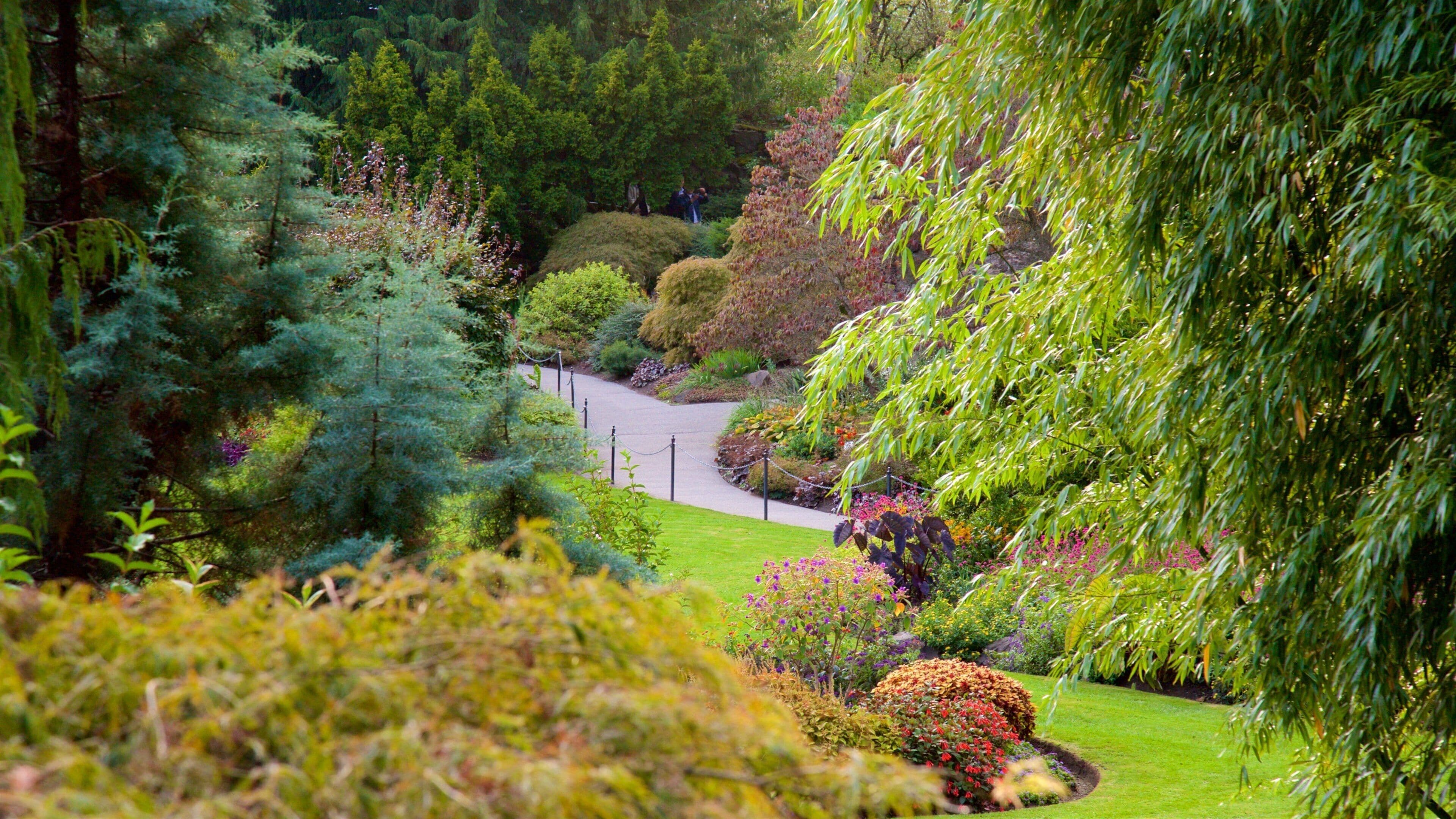 A lush garden with various trees, a winding path, and neatly trimmed hedges.