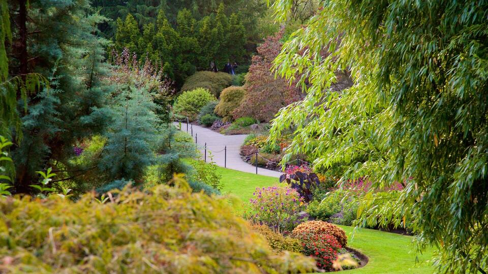 A lush garden with various trees, a winding path, and neatly trimmed hedges.