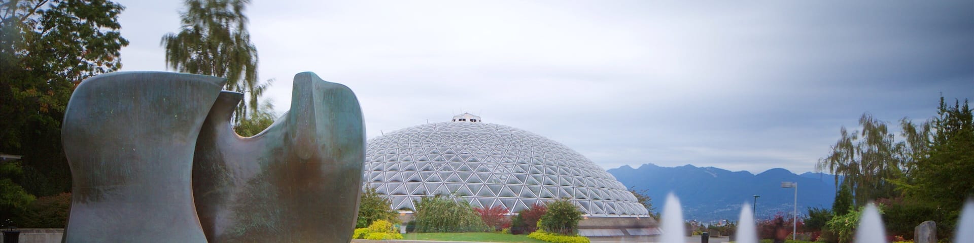Queen Elizabeth Park featuring a statue or sculpture and a fountain