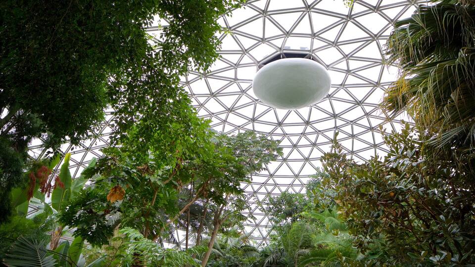 A geodesic dome structure with a hanging spherical object, surrounded by dense tropical foliage.