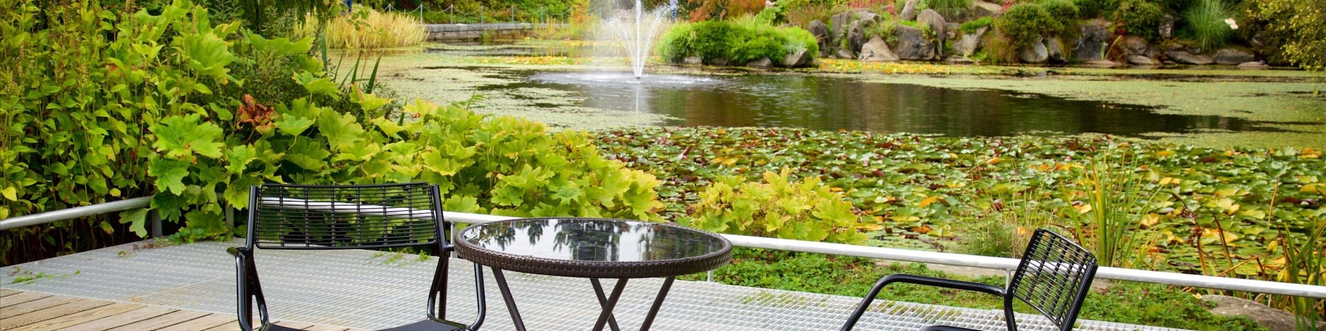 VanDusen 植物園 呈现出 湖泊或水池, 公園 和 噴泉
