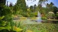 Un étang avec une fontaine, entouré d’une végétation luxuriante et d’arbres.