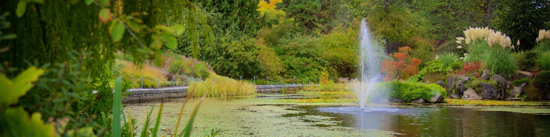 Jardín botánico VanDusen ofreciendo un parque, una fuente y un lago o laguna
