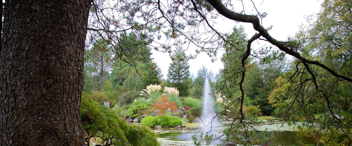 バンデューセン植物園 どの含み 公園, 噴水 と 湖あるいは泉