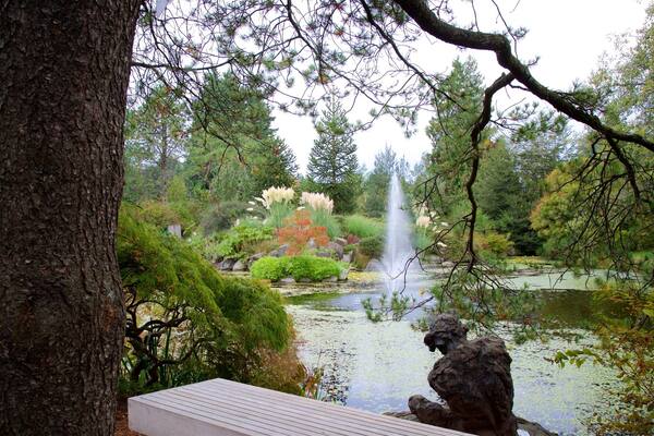 VanDusen Botaniske Have som omfatter et springvand, en sø eller et vandhul og en have