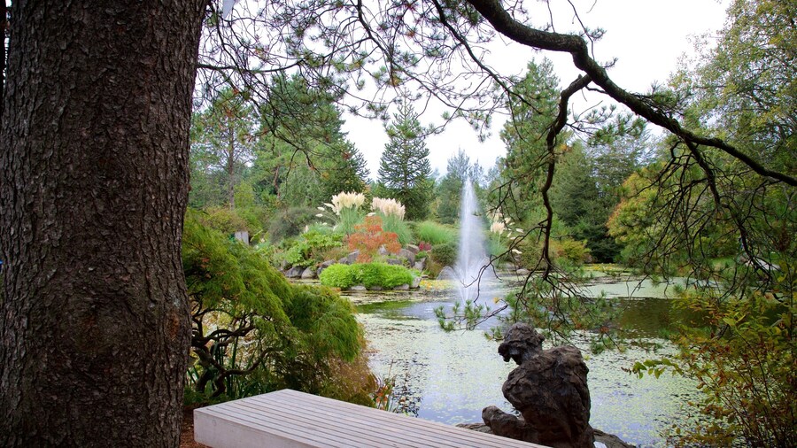 Jardín botánico VanDusen mostrando un lago o abrevadero, una fuente y un jardín