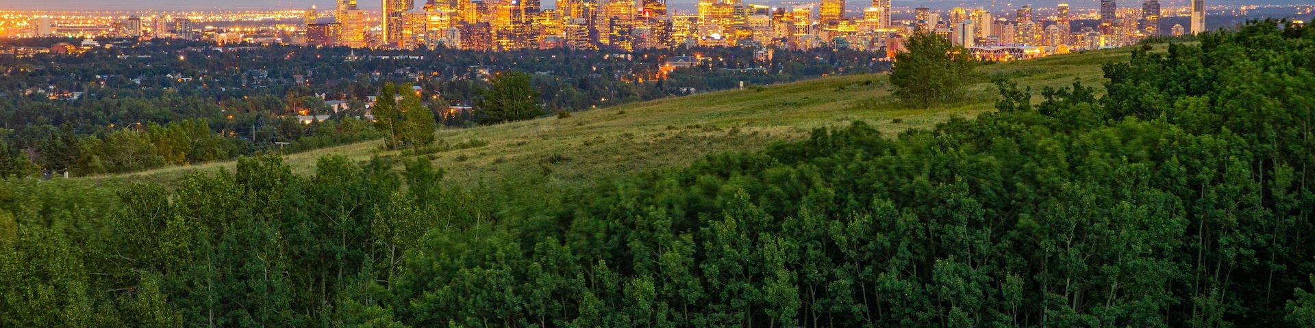 Nose Hill Park showing landscape views, a city and night scenes