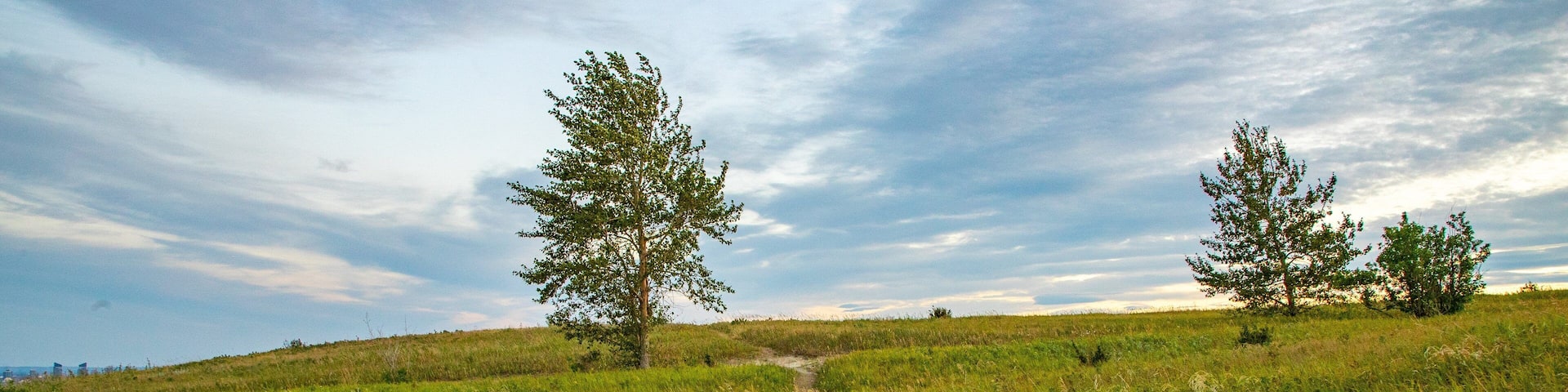 Nose Hill Park showing a sunset and tranquil scenes