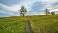 Nose Hill Park showing a sunset and tranquil scenes