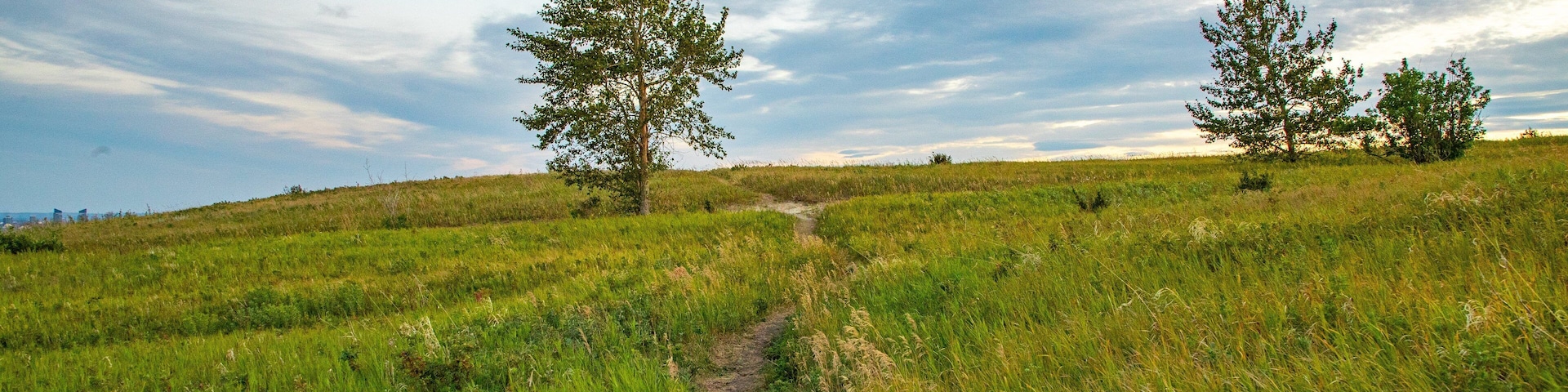 Nose Hill Park showing a sunset and tranquil scenes