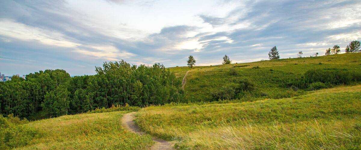 Nose Hill Park which includes tranquil scenes, landscape views and a sunset