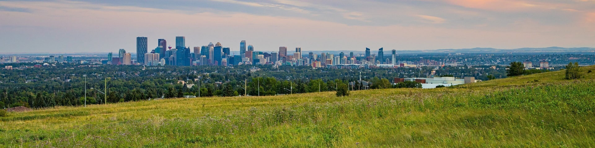 Une vue sur les gratte-ciel d’une ville, avec des bâtiments modernes, et un champ verdoyant au premier plan.