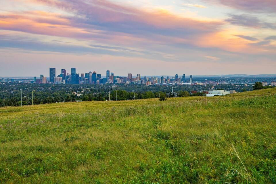 A city skyline with modern buildings and a grassy field in the foreground.