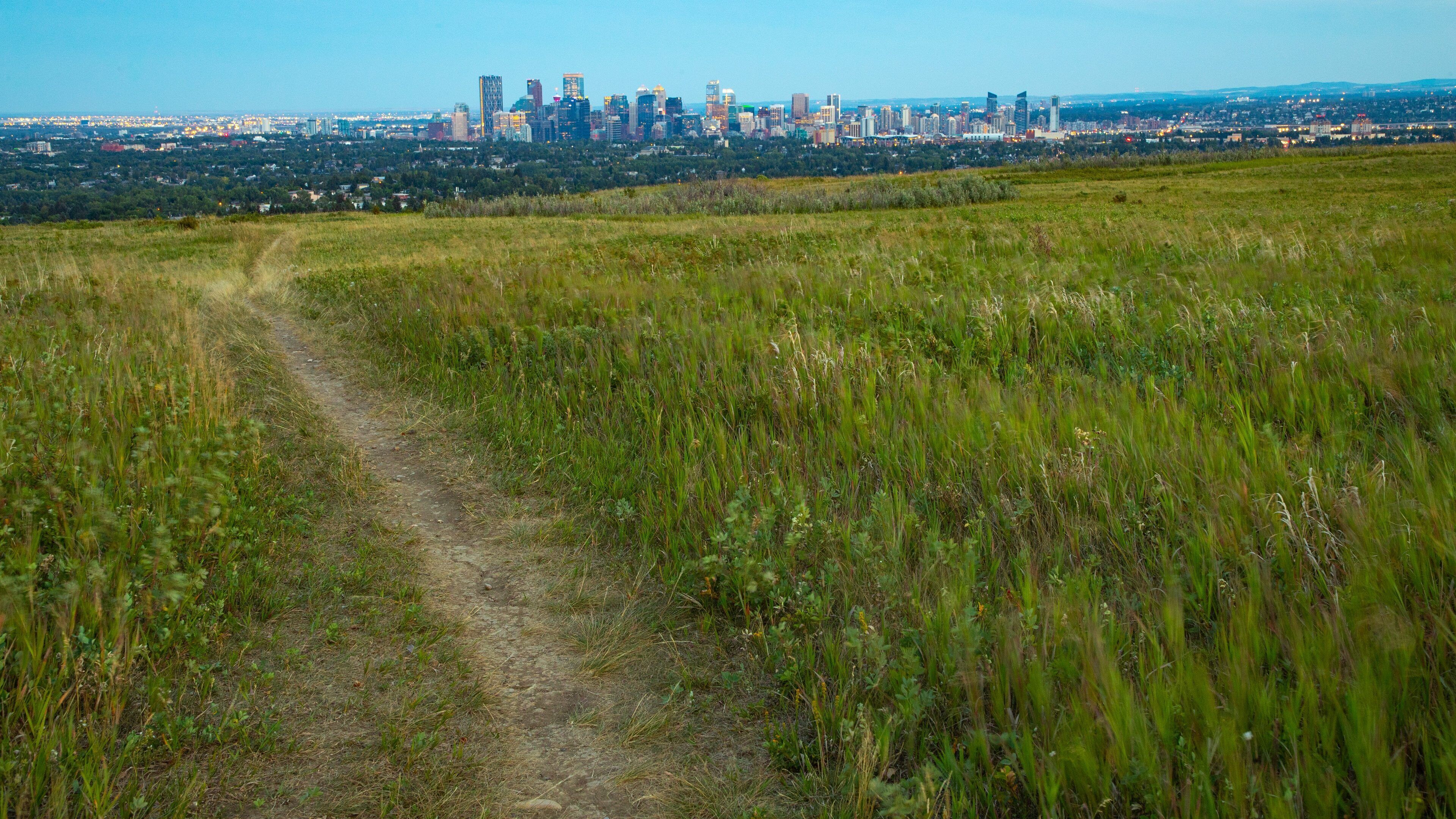 Nose Hill Park which includes landscape views and a city