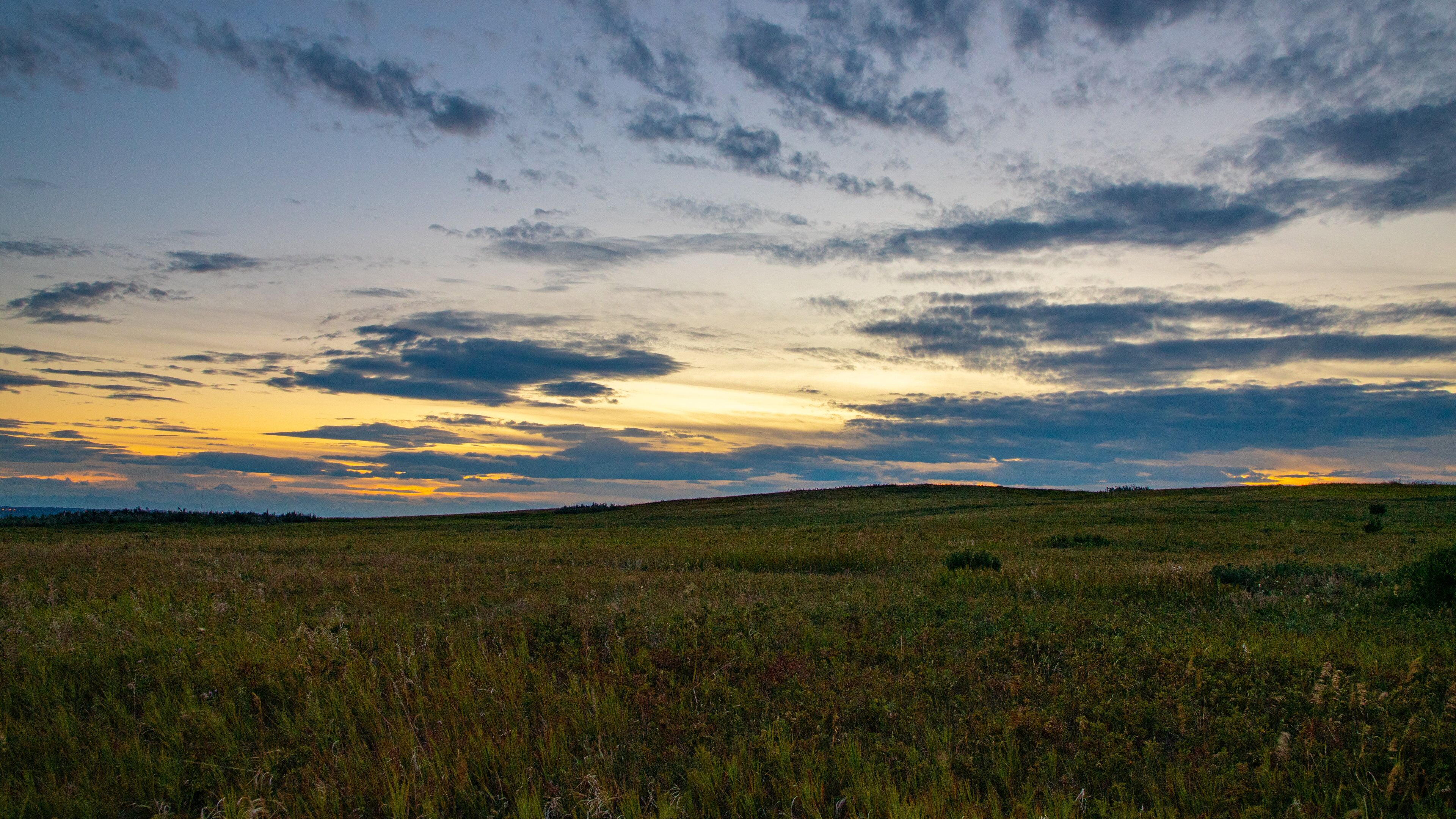 Nose Hill Park which includes a sunset and tranquil scenes