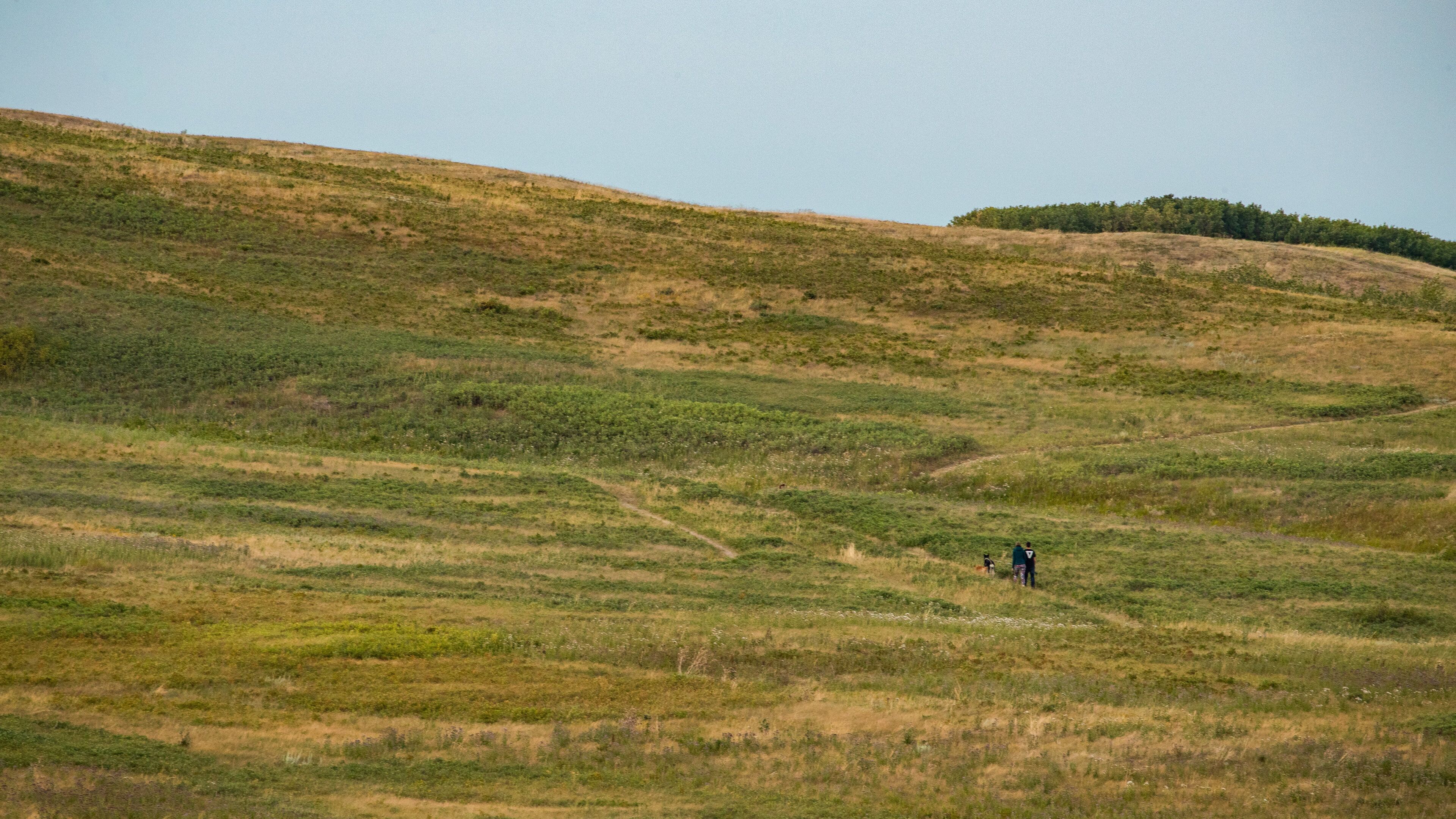 Nose Hill Park showing landscape views and tranquil scenes