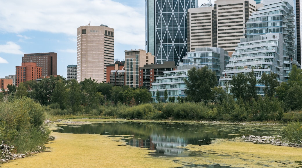 Prince\'s Island Park which includes a pond and a city