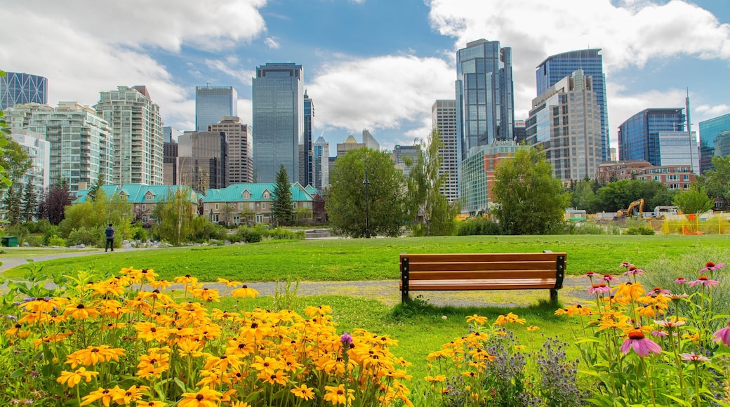 Prince\'s Island Park which includes a garden, a city and wildflowers