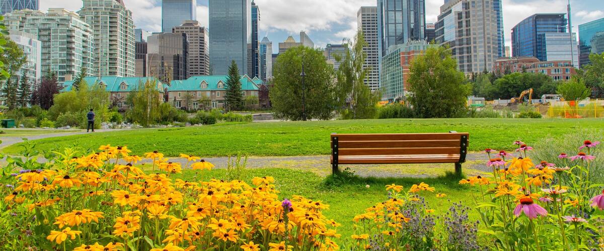 Prince\'s Island Park which includes a garden, a city and wildflowers